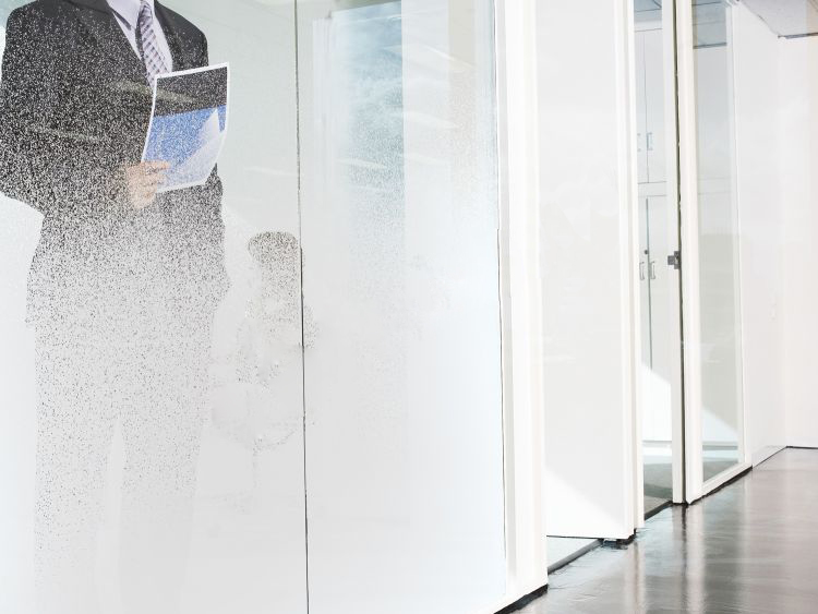 Sandblast-Privacy-Film-Frosted-Snow-Effect